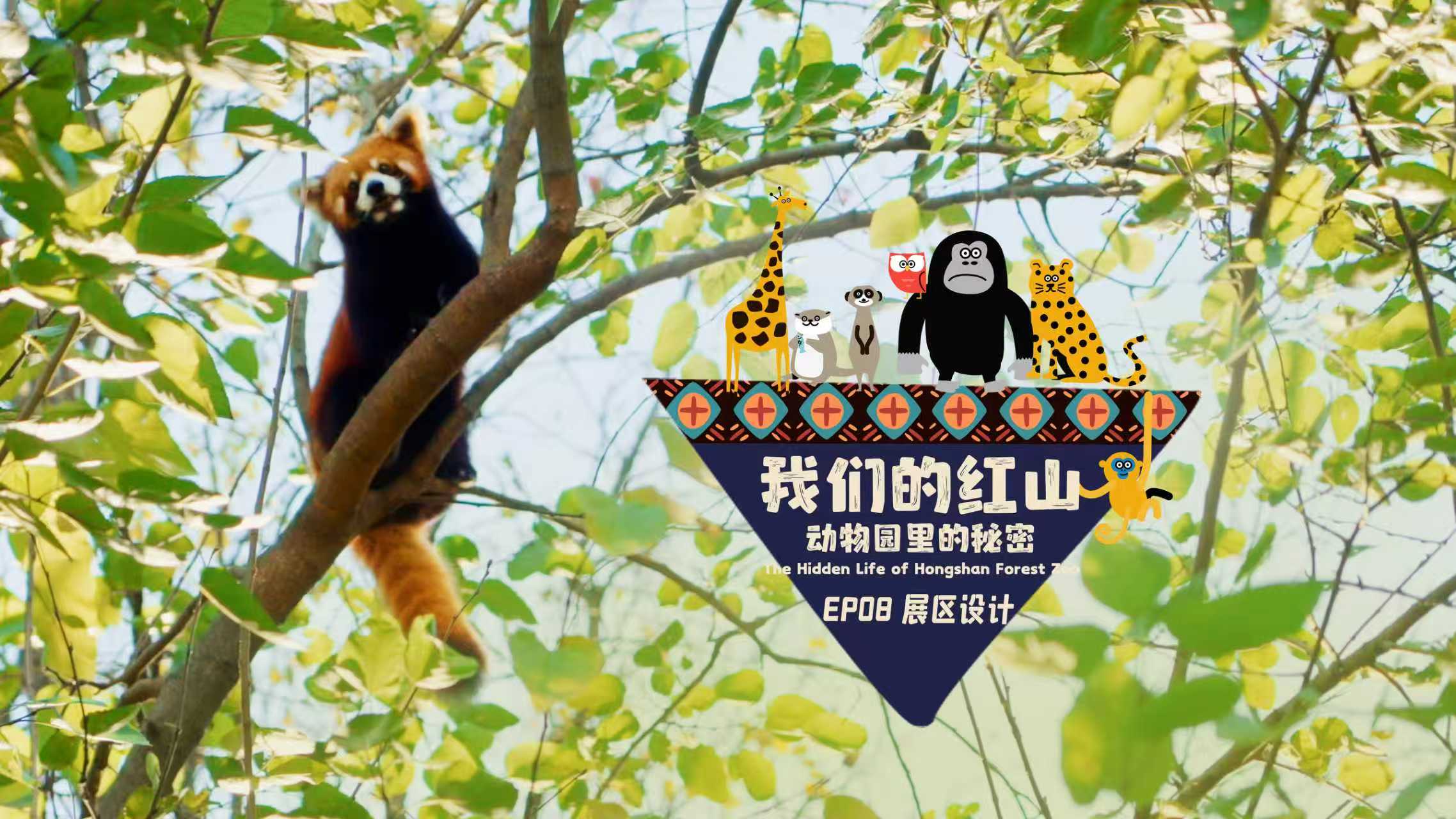 主题陈列